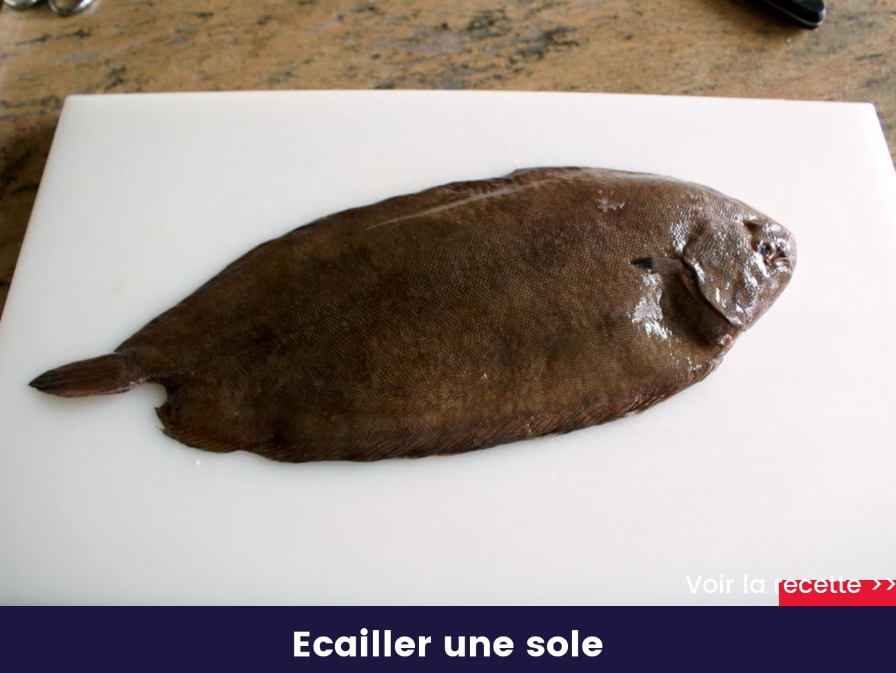 Ecailler une sole